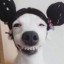 扶搖