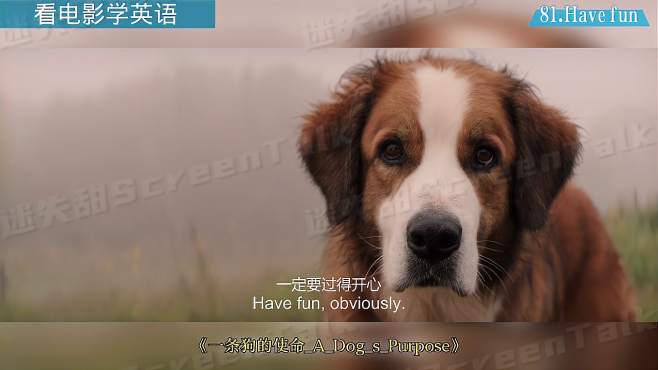  看電影學英語 Have fun!玩得開心;玩得高興.